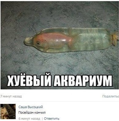 Рыбка в аквариуме из презерватива - смешно, прикольно, короче фото с юмором