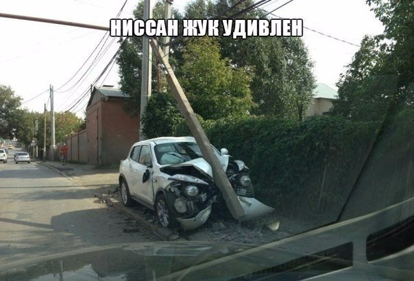 Авария Ниссан Жука мордой в столб - зато теперь у него удивленная морда