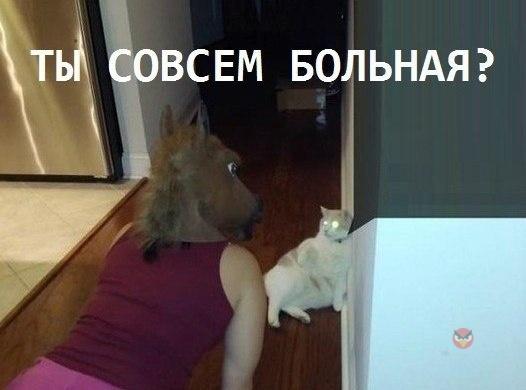 Девушка в маске лошади - нервный срыв? пони-плей? ponyplay? Нет! Всего лишь юмор и прикол)