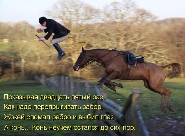 Жокей вылетел из седла. И смех и грех.