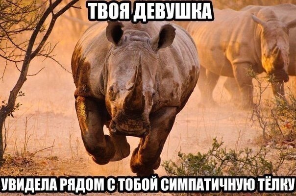 когда девушка видит конкурентку - смешные подписи под фотографией